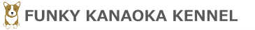 コーギーブリーダー|ファンキーカナオカケンネル大阪堺市